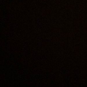 Meet your Posher, Maddie